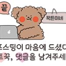 마법의약손안마원 이미지