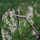 항노화자연휴양림(항노화힐링랜드) 이미지