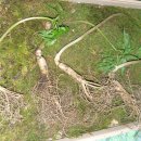 한서농장 이미지