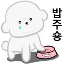 털찐강아지 이미지