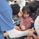 반월초등학교 | 익산 딸기역 체험학습, 전주 국가대표 상무태권도 제자들과 함께한 설레는 봄나들이 (전주 여의동...