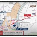 도마네거리 이미지