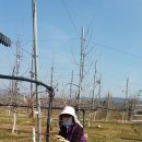 이영미농장 이미지