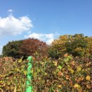 은평-063 이미지