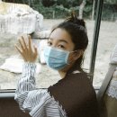 본동복어 이미지