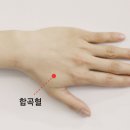 두레약국 이미지