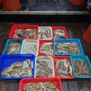 뉴월드장 이미지