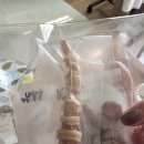 호이해이 이미지