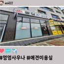 멍멍사우나 이미지