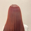 데이지엘헤어 범계점 이미지