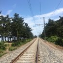 등명해변(철길옆) 이미지