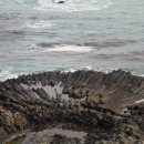 읍천1리 이미지