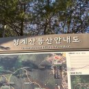 미스신두마리치킨 신정점 | 나이 반납할게요 환불해주세요 깔끔하게 사용했어요 기스없구요