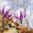 무한사랑 이미지