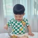 에디슨 도자기식판 실리콘 모듈 식판 조합으로 정착! 자기주도 유아식 후기