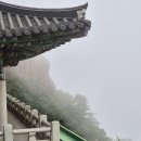 오설니암영농조합법인 | 2026년 6월 남해 1박 2일 / <보리암> 주말 방문후기 > 남해은모래비치