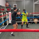 고트 복싱 이미지