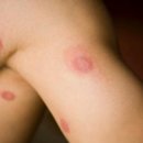 안산 센트럴 동물병원 이미지