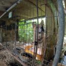 울진동물병원 이미지