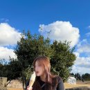 상대목장 | 제주서쪽여행 성이시돌목장 데이트 코스 추천 우유부단 제주목장카페