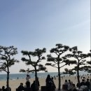 곤니찌와 여행 일본어 티스토리
