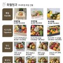 마포청과