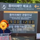 안덕면 용머리 공영주차장 입구 이미지