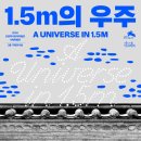 담