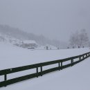 철수목장 이미지