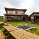 비자숲길15 이미지