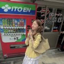 진헤어코디
