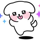 놀러오개 송파점 이미지