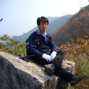 최뿔따구 이미지