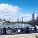 군산오언니 | 석촌호수 벚꽃축제/석촌호수 맛집