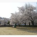 남면초등학교 이미지