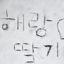 해랑농장 이미지