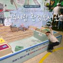 여수시립환경도서관 | 도서관의 틀을 깨는, 여수시립 환경도서관 &#39;그림책으로의 산책!&#39;
