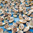 지니중국식품 이미지