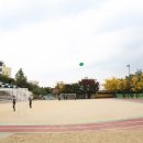 신사초등학교 이미지
