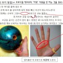 ⊙ 볼링공 잡는(Grip)방법과 굴리는 요령! 이미지