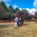 예당개인택시3 | 제주도 택시투어 예약, 관광택시 여행 가격 후기