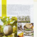 한아름농원 이미지