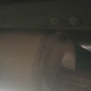 일호카센타 이미지