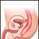 웰의원 이미지