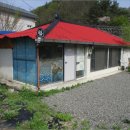 남일로(남후면) 이미지