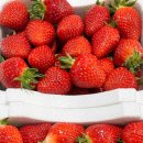 광택농장 이미지