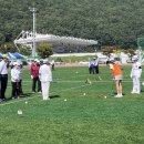 게이트볼 이미지