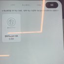 은평애견 이미지