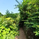 양지숲속산장 이미지