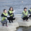 EM(이엠) 이미지